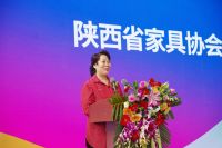 第20届西安国际家具博览会 今日盛大启幕