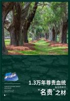 久盛全球橡木盛典，带你体验优雅生活