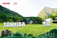 东芝雾语冰箱京东上市 雾化保鲜科技填补高端娇嫩果蔬恒湿保鲜空白