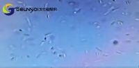 后疫情时代的消费者：厨房台面三千，我只选有抗菌功能的台面