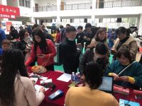 再创佳绩！TCL内购会冰洗销售额突破340万，全面诠释智慧科技实力