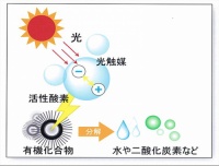 斯洛格林超光触媒，“醛”面出击