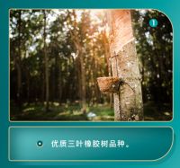 央视网《超级工厂》，解密斯柔菲超级制造