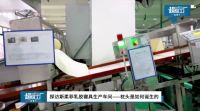撒贝宁化身体验官，央视网直播斯柔菲《超级工厂》