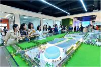 全国一盘棋，出海新通道：星迈黎亚深化“保姆式”出海服务