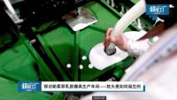 斯柔菲登录央视网《人人都爱中国造》，本土化生产起航中国制造