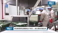 斯柔菲登录央视网《人人都爱中国造》，本土化生产起航中国制造