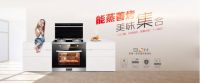 什么牌子的集成灶好用又实惠