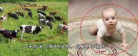 地暖装修热，让一众装修公司力荐的英姿晶品板究竟有多好？