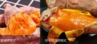 帅丰U1M天猫精灵款集成灶，能说会道，让你的厨房生活更有趣