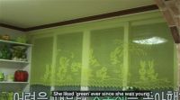 女子把租来的房子装成绿色王国，和2500只青蛙生活！房东：要命