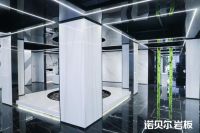 诺贝尔品牌总监王麒越：玩转Z时代 年轻化营销赋能品牌转型升级