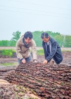 好物种草榜 | 为置家采撷一片清新 让都市生活回归自然