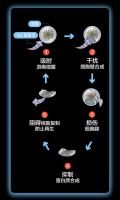 打响健康战！维意定制板材全线升级「净味抗菌技术」