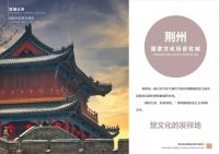 「城市建造家」上海中建设计华中区总建筑师 夏赤渊聊综合保税区设计意义