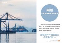 「城市建造家」上海中建设计华中区总建筑师 夏赤渊聊综合保税区设计意义