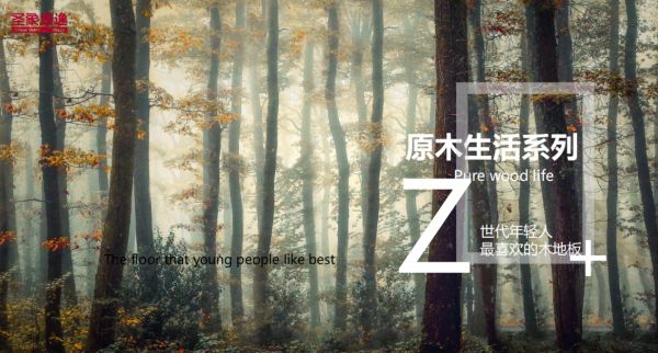 圣象康逸“原木生活”成Z世代最喜欢的木地板？日落暖木让家更治愈