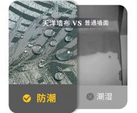 天洋墙布无惧梅雨，让墙面自由呼吸的秘密