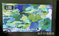曼卡尔X9投影仪和当贝D1相比，哪款性价比更高？