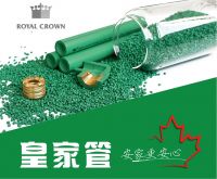 皇家管：安家更安心！