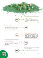 皇家管：安家更安心！