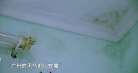 《极速焕新家》助力广州夫妇复合，焕新家能否唤醒爱
