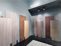 莫干山窦磊：新材料地板将成为未来发展趋势