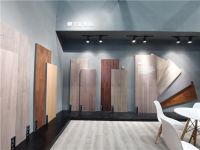 莫干山窦磊：新材料地板将成为未来发展趋势