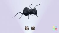 启蒙教育APP哪款好？这两款启蒙APP新手宝爸宝妈不容错过