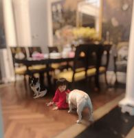 走进樊少皇和贾晓晨的家，生活完全西式化了，全屋没一件中式家具