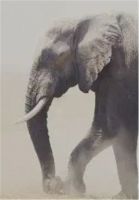 【米兰壁纸墙布窗帘】墙布十大品牌之如何打造轻奢家居环境？