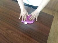 客厅养这些“花” 既能美化环境又能除醛，舒心又健康