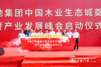 以木为媒，构筑绿色高端美学家居生态圈｜书香门地中国木业生态城奠基仪式暨产业发展峰