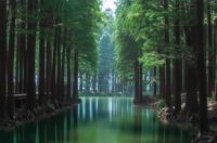 Airapex阿尔卡司净化无雾加湿器全球上市-湿地般的净润呼