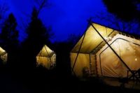 数据智能驱动变革，广汇联合爱卡以数字化转型谋突破