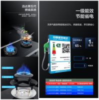 重磅出击！不负37年不放弃，迅达猛火集成灶“C”位出道！