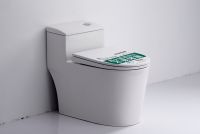 阅“桶”无数新手必看的选马桶建议