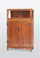 伍炳亮:剖析现状,洞见未来