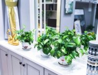 没听所谓“专家建议”装修了第二套房,选择了最明智的除甲醛方法