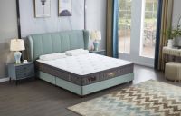 东宝床垫：这样午睡，还不如不睡