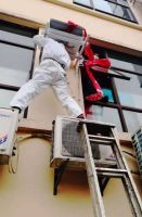 十万零一夜 | 他们是诚信、专业、安全的啄木鸟工程师