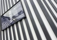 斑马先生：用活力书写黑白调的情怀