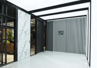 斑马先生：用活力书写黑白调的情怀