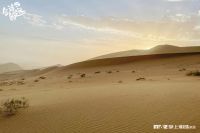 M&Z 旅行·家 x 敦煌｜在沙漠里造个家，有何不可？