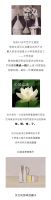 【米兰壁纸墙布窗帘】永不过时的软装配色，选它！
