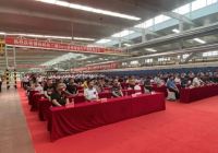 心之作 大气磅“薄”热烈庆祝领标科技二期3mm岩板智能生产线成功点火