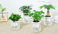 活性炭除甲醛真的靠谱吗？优缺点分析你一看就明白