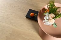 披荆斩棘正当时 有颜有品有质量