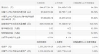 皮阿诺2021年半年业绩报告：净利润1.03亿元，同比大涨85.67%