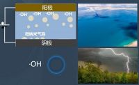 为何说洗护行业可以发挥蓝氧消毒杀菌的潜力？因为所有条件都已具备